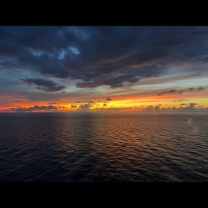 Meet your Posher, Carla